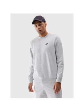 Pánska mikina s kapucňou 4F 4FWMM00TSWSM1767-27M