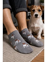 Pánske nohy Jack Russell teriér 1108.057 Pánske nohy Jack Russell teriér 1108.057