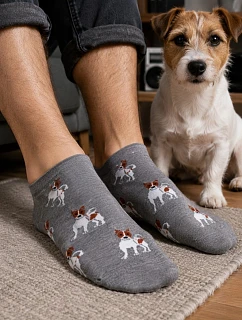 Pánske nohy Jack Russell teriér 1108.057