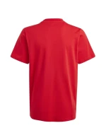 Tričko adidas Big Logo Tee Jr IJ6262