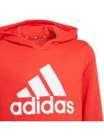 Detská mikina Essentials Big Logo Hoodie Jr GN4037 - Adidas Detská mikina Essentials Big Logo Hoodie Jr GN4037 - Adidas