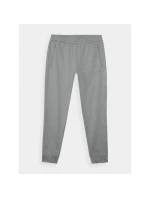 Pánske rýchloschnúce tréningové nohavice 4F 4FWAW24TFTRM681-25M