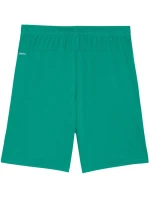 Pánske šortky Puma Team Goal Green 705752 05