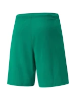 Pánske teamRISE Short M 704942 05 - Puma