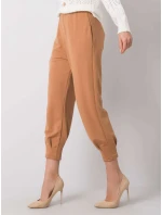 Tepláky 217 DR 25676.78P ťava