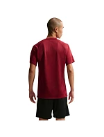 Pánske tričko Nike Dri-Fit Park VIII Burgundy HV8173 677 Pánske Pánske tričko Nike Dri-Fit Park VIII Burgundy HV8173 677 Pánske