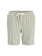 Jack&Jones pánske pruhované šortky JPSTJAIDEN COBA STRIPE JOG SHORTS REG SN 12274413 TEA/STRIPES Jack&Jones pánske pruhované šortky JPSTJAIDEN COBA STRIPE JOG SHORTS REG SN 12274413 TEA/STRIPES