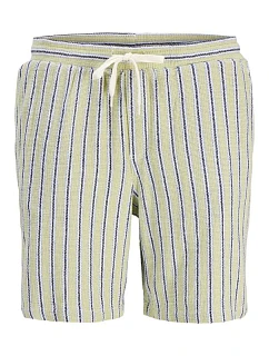 Jack&Jones pánske pruhované šortky JPSTJAIDEN COBA STRIPE JOG SHORTS REG SN 12274413 TEA/STRIPES