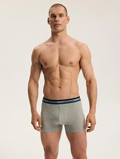 Boxerky Henderson 45480, farba A2, veľkosti M–4XL
