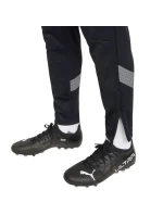 Pánske športové nohavice TeamFinal Training M 657380 03 - Puma
