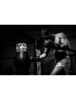 Boxerské rukavice 10oz - Black Master - Valor Series