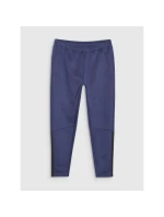 Pánske rýchloschnúce tréningové nohavice 4F 4FWSS25TFTRM0836-30S