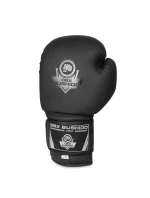 Boxerské rukavice 10oz - Black Master - Valor Series