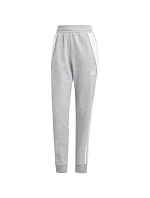 Dámske nohavice adidas Tiro 24 Sweat, sivé, IS1011, 2XL Dámske nohavice adidas Tiro 24 Sweat, sivé, IS1011, 2XL