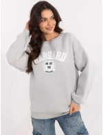 Mikina EM BL 617 16.01X sivá