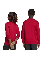 Adidas Detské tričko Entrada 26 Sweat Top Red JZ6556