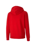 Pánske tričko teamGoal 23 Casuals Hooded M 656708 01 - Puma