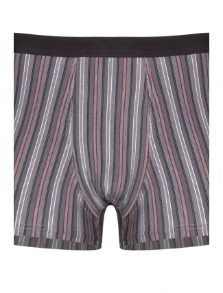 Pánske boxerky 233/85 Various perfect - CORNETTE Pánske boxerky 233/85 Various perfect - CORNETTE