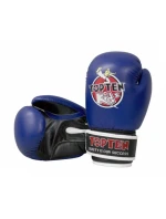 Boxerské rukavice RPU-TT KIDS 8 oz