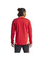 Mikina adidas Tiro 24 Competition M IP1875 men