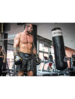 Boxerské rukavice 10oz - Aureos - Valor Series