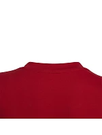 Entrada 22 Jr kids tričko HC0446 - Adidas