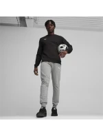 Pánska mikina Puma Team Goal Casuals Crew Neck M 658592 03