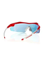 Slnečné okuliare Goggle E690-3