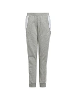 Nohavice adidas Tiro 24 Sweat Jr IS1009