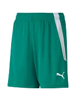 Šortky Puma teamLIGA Jr 704931 05 Šortky Puma teamLIGA Jr 704931 05