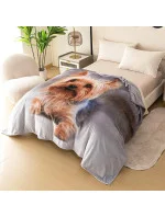 Bavlnená deka Cotton World Touch Animal, Motor 160x200