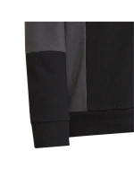 Adidas Colourblock Hoodie Jr HN8563