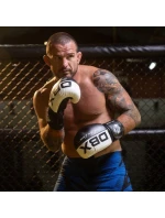 Boxerské rukavice 10oz - Harmony - Valor Series