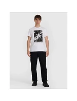 Pánske tričko 4F 4FRAW25TTSHM3258-10S