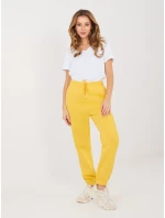 Tepláky CLM DR 1107.98 žltá