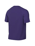 Pánske tričko Dri-Fit Park VIII HV8173 547 fialové – Nike