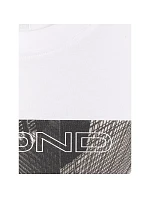 Pánske tričko 4F 4FRAW25TTSHM3258-10S