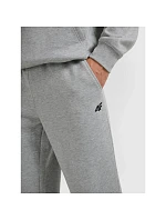 Pánske tepláky typu jogger 4F 4FRMM00TTROM1625-27M Pánske tepláky typu jogger 4F 4FRMM00TTROM1625-27M