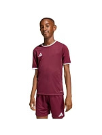 Detský dres adidas Entrada 26 Jersey burgundy JZ2530