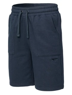 Pánske šortky AZYNI