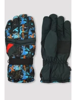 LYŽIARSKE RUKAVICE RN026