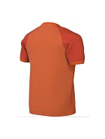 Tričko Nike Dri-FIT Trophy VI HV8158-819