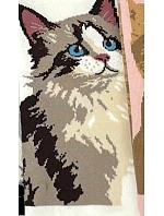 Nohy WiK Xintao 3502 wz.37 35-42