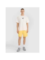 Tričko 4F M 4FRSS25TTSHM2981-11S