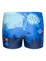 Plavecké boxerky Aquawave Tarym Jr 92800593968 Plavecké boxerky Aquawave Tarym Jr 92800593968
