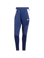 Nohavice adidas Tiro 24 WInterized M IY0114