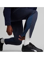 Puma Team Goal Training M nohavice 658639 06