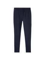 Pánske tréningové nohavice Puma Team Goal Slim navy blue 659037 06