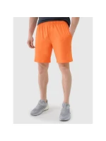 Pánske rýchloschnúce tréningové šortky 4F 4FWSS25TFSHM0911-70S