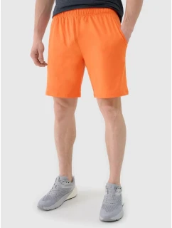 Pánske rýchloschnúce tréningové šortky 4F 4FWSS25TFSHM0911-70S